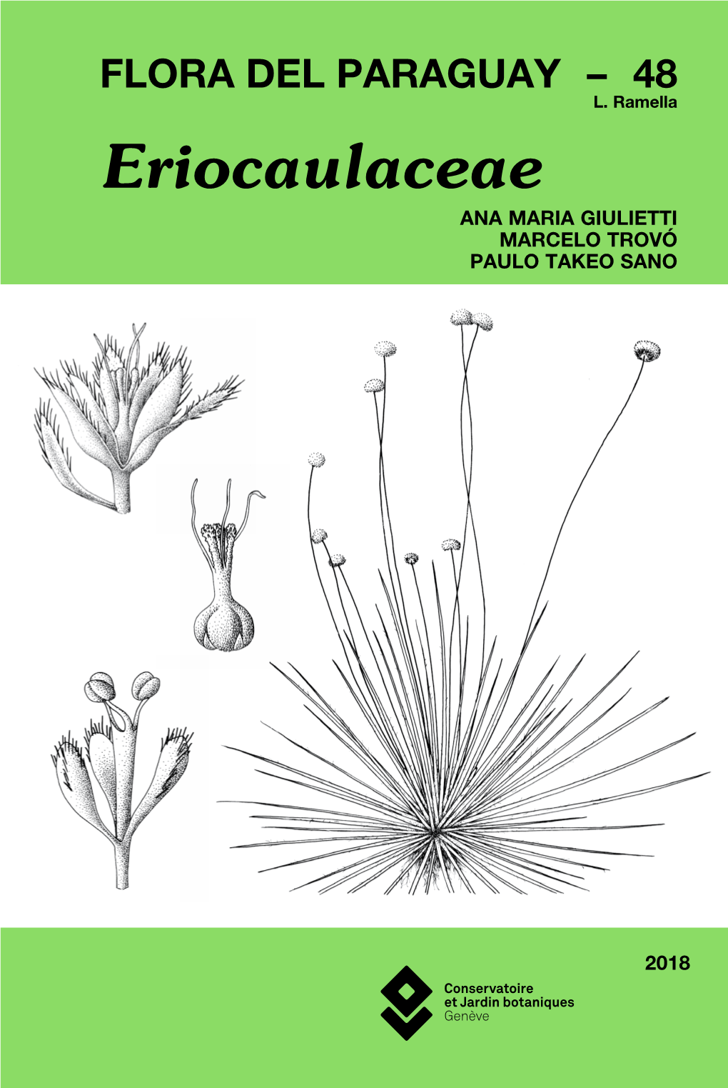 Eriocaulaceae ANA MARIA GIULIETTI MARCELO TROVÓ PAULO TAKEO SANO