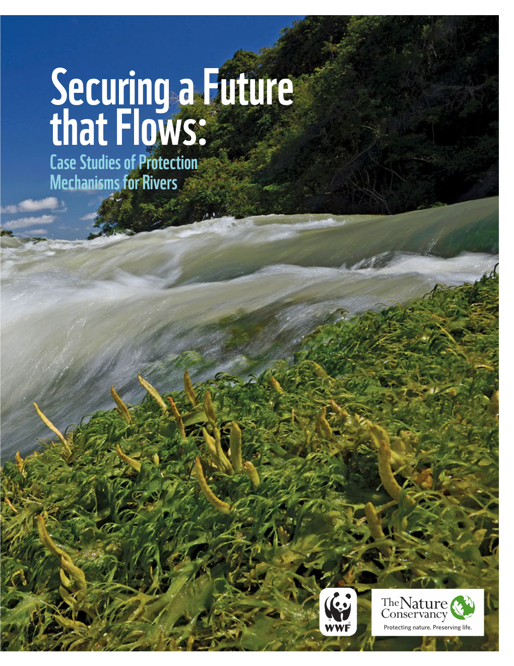 Securing a Future That Flows: Case Studies of Protection Mechanisms for Rivers Citation: Moir, K., M