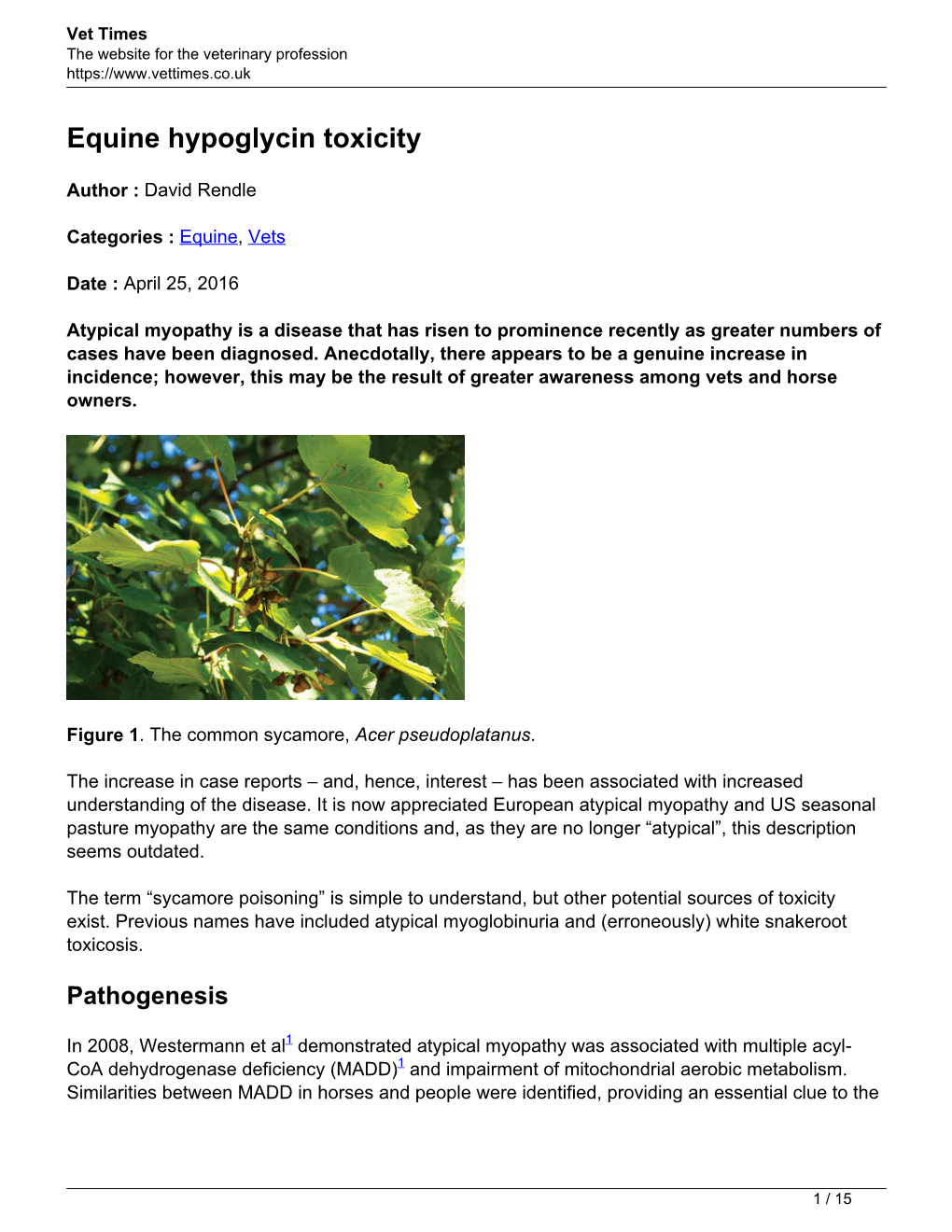 Equine Hypoglycin Toxicity