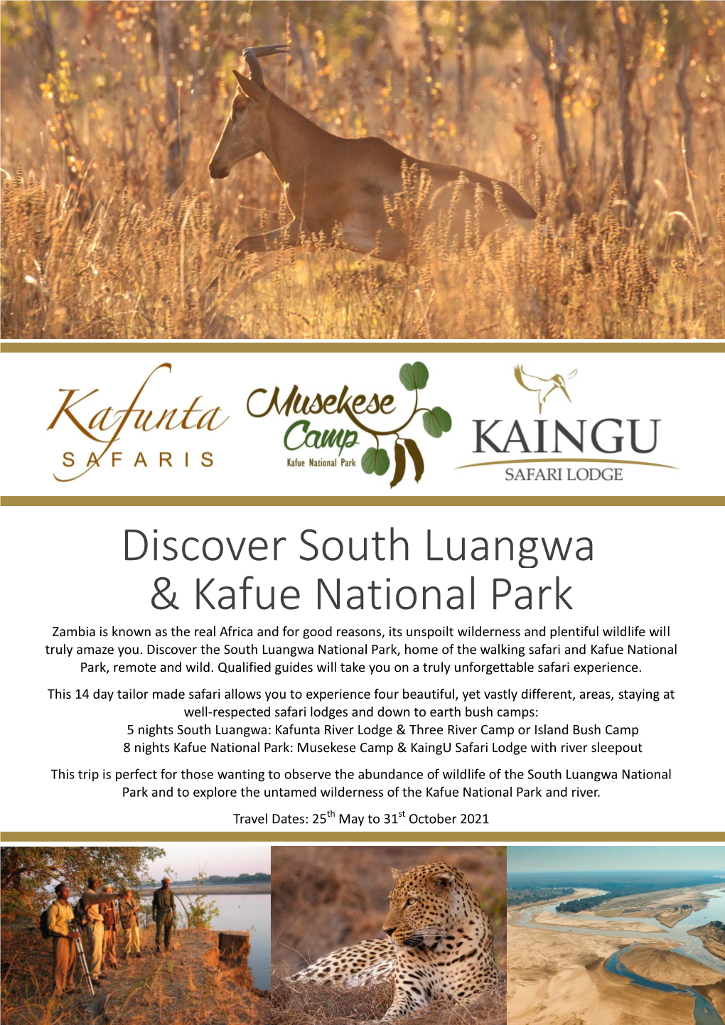 South Luangwa & Kafue National Park