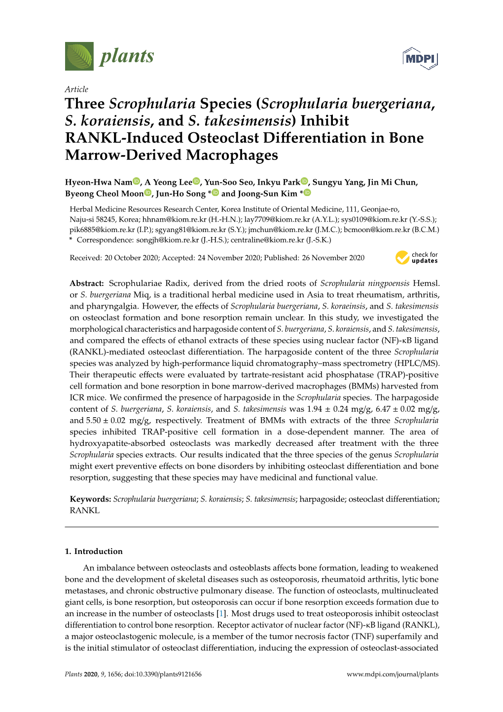 Scrophularia Buergeriana, S. Koraiensis, and S. Takesimensis) Inhibit RANKL-Induced Osteoclast Diﬀerentiation in Bone Marrow-Derived Macrophages