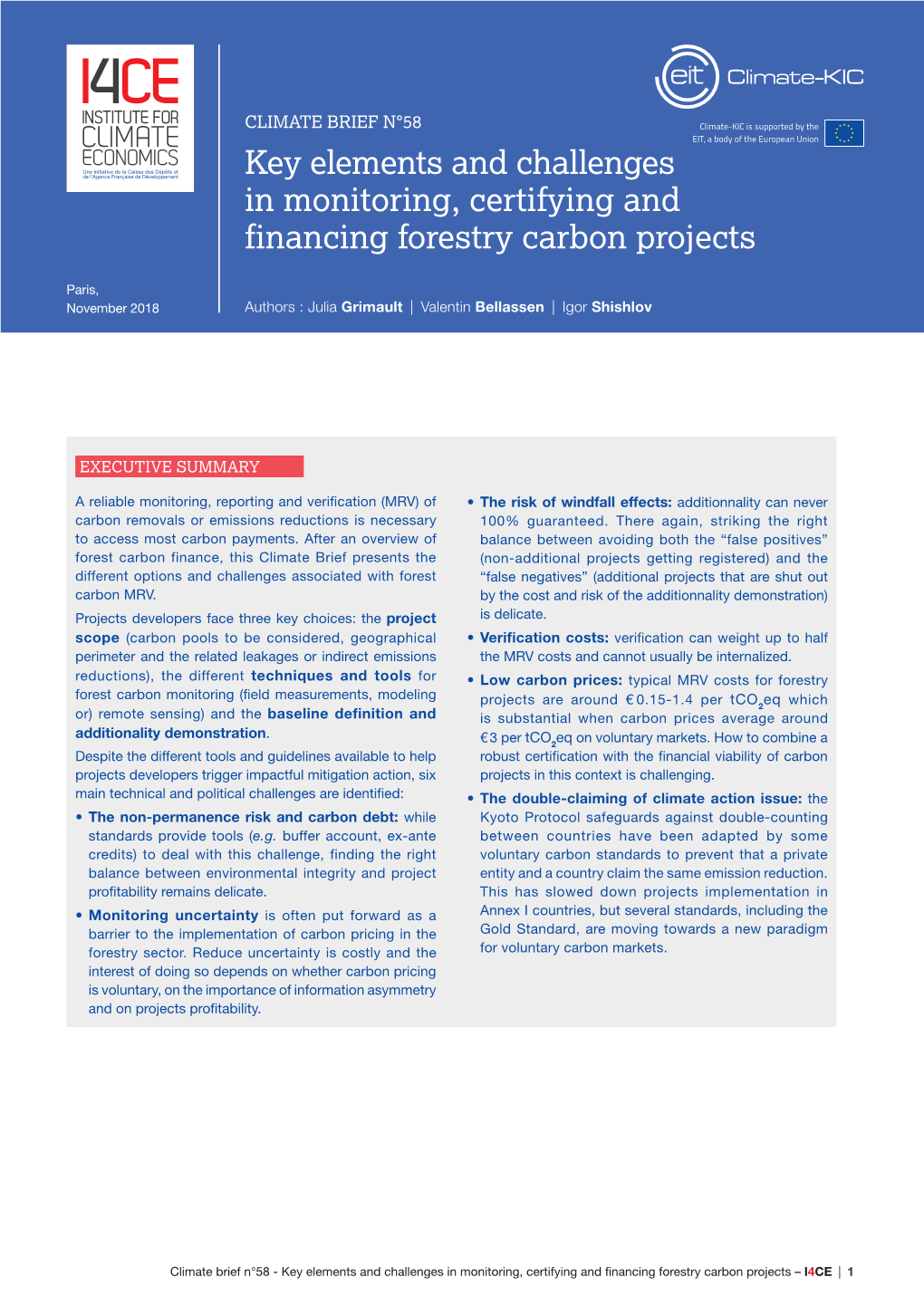 Key Elements and Challenges in Monitoring, Certifying and Financing Forestry Carbon Projects