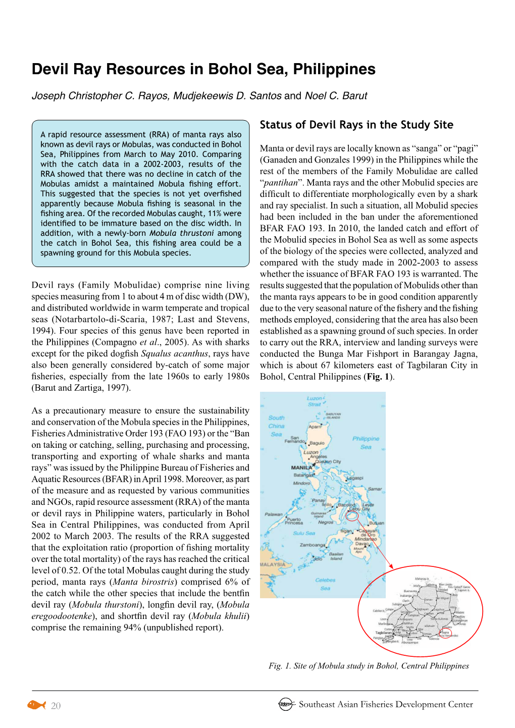 Devil Ray Resources in Bohol Sea, Philippines