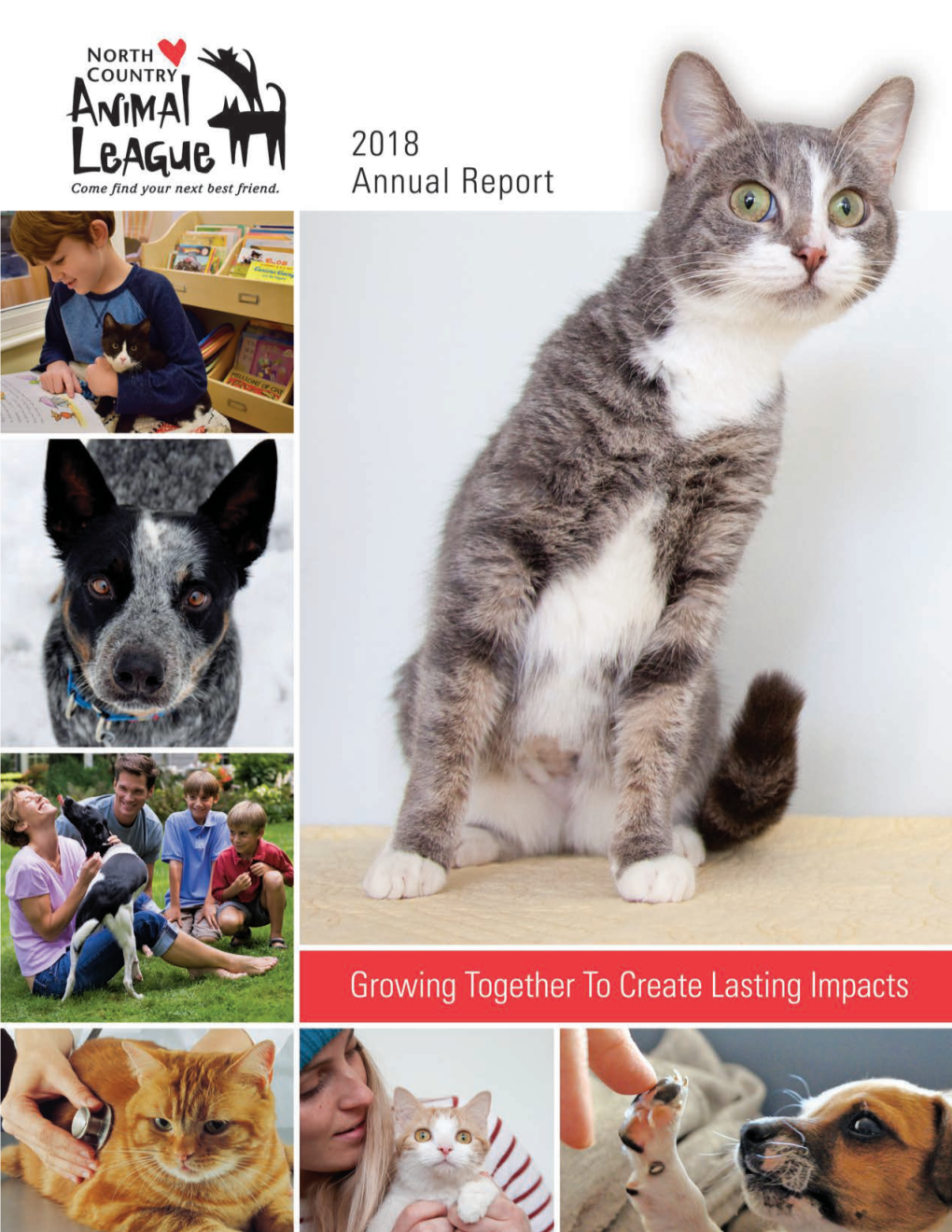 2018 NCAL Annual Report