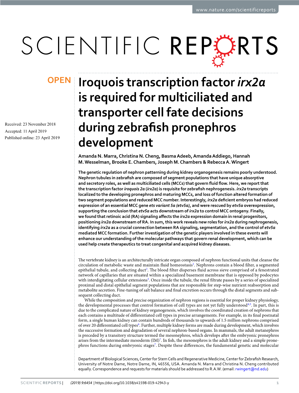 Iroquois Transcription Factor Irx2a Is Required for Multiciliated