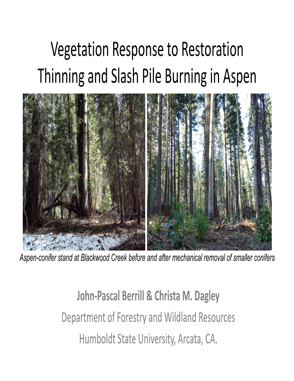 Vegetation Response to Restoration Thinning and Slash Pile Burning in Aspen