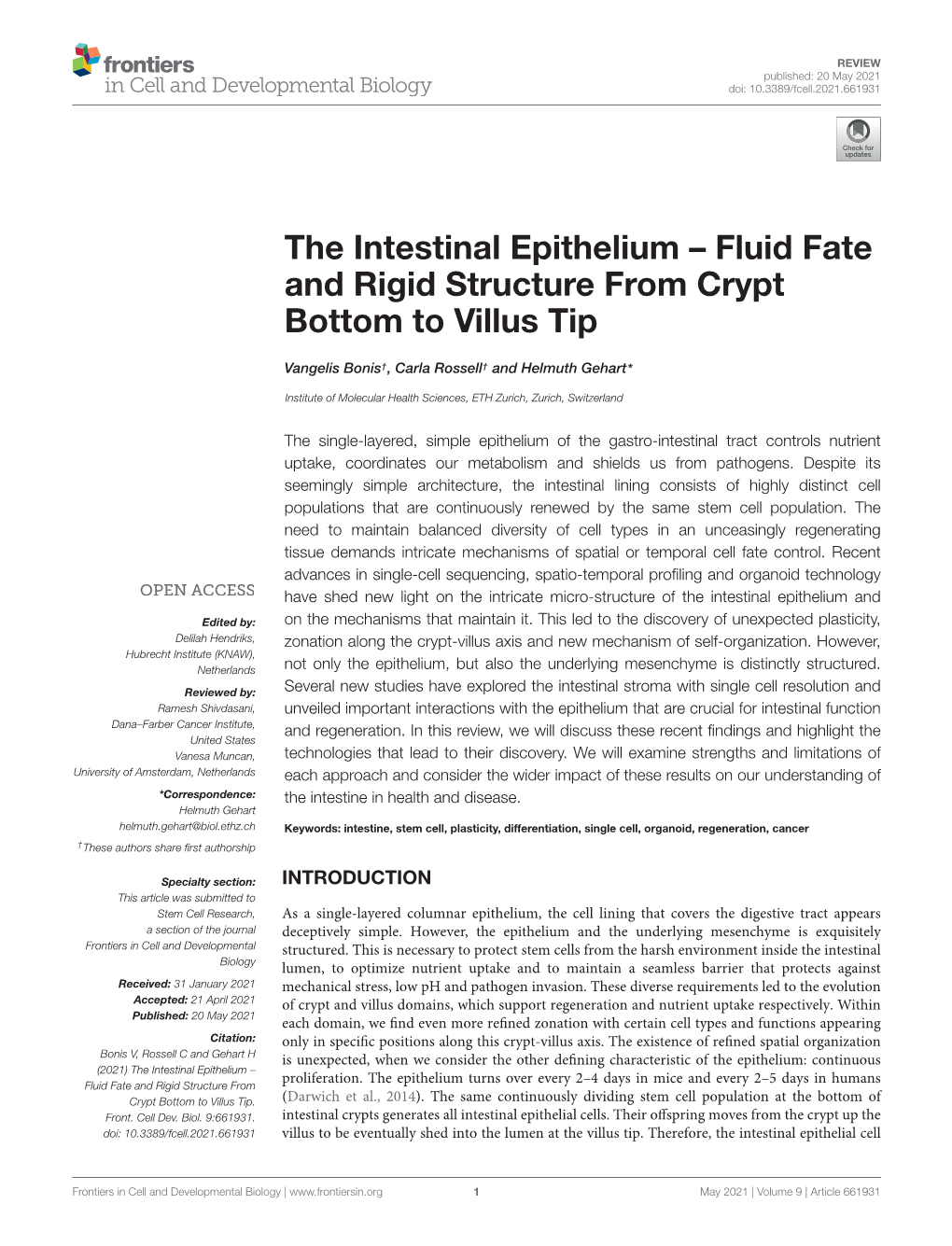 The Intestinal Epithelium – Fluid Fate and Rigid Structure from Crypt Bottom to Villus Tip