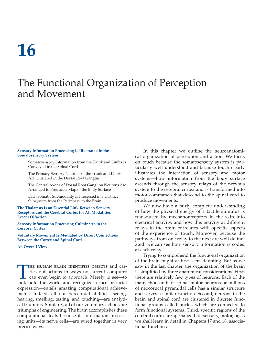 The Functional Organization of Perception and Movement