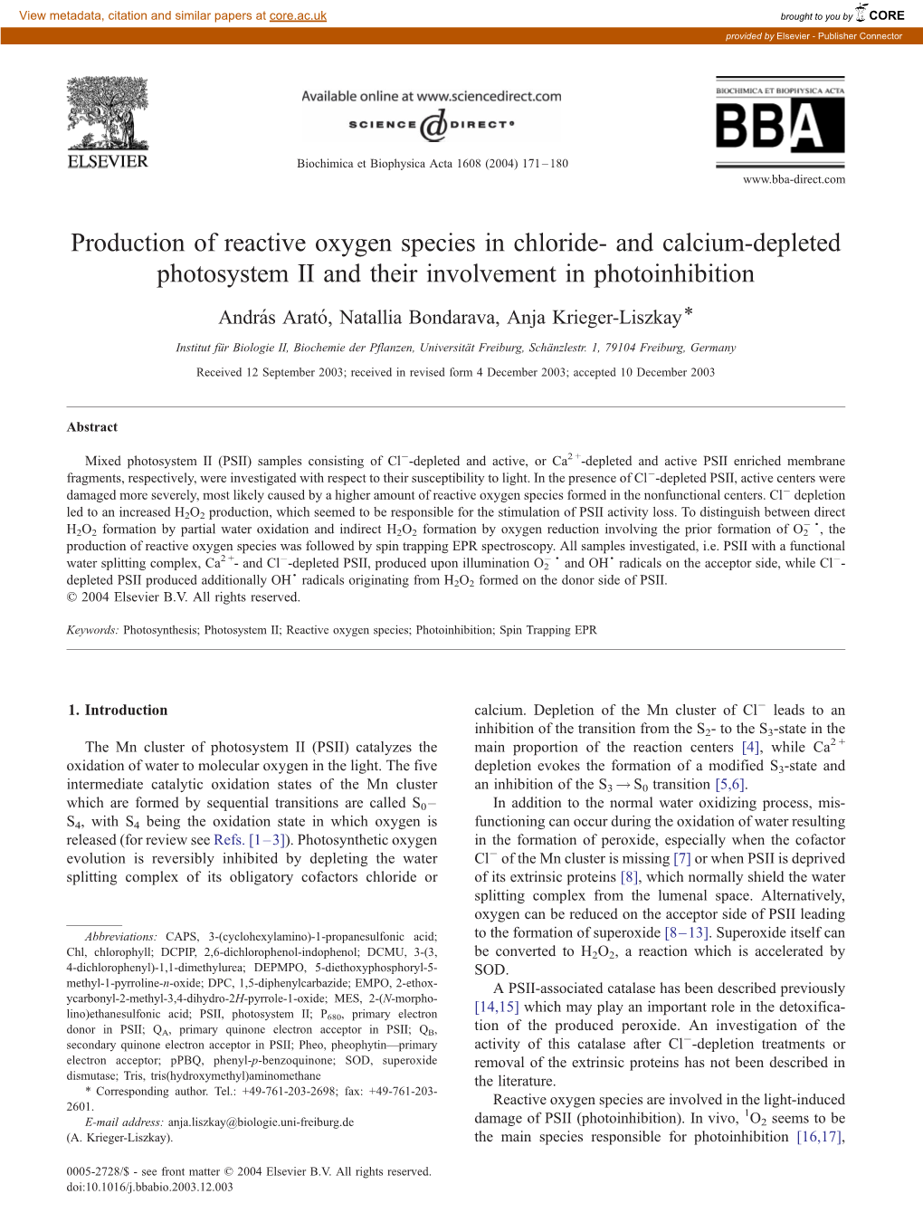 Production of Reactive Oxygen Species in Chloride- and Calcium-Depleted Photosystem II and Their Involvement in Photoinhibition