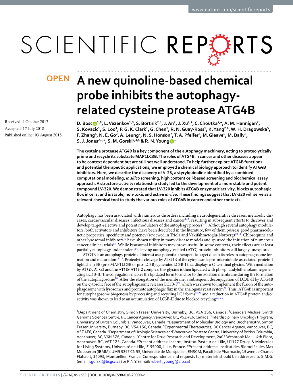 A New Quinoline-Based Chemical Probe Inhibits the Autophagy- Related Cysteine Protease ATG4B Received: 4 October 2017 D