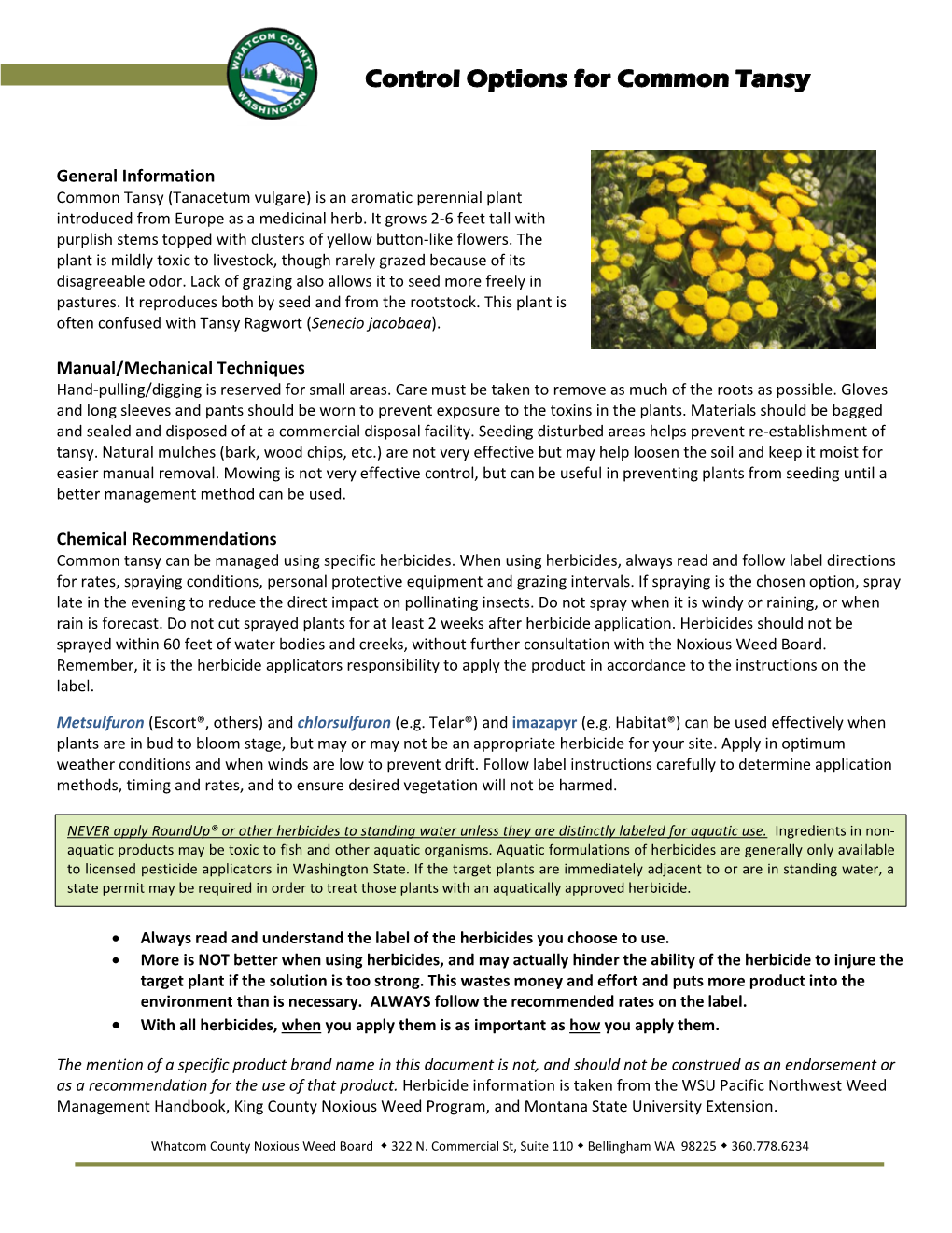 Control Options for Common Tansy