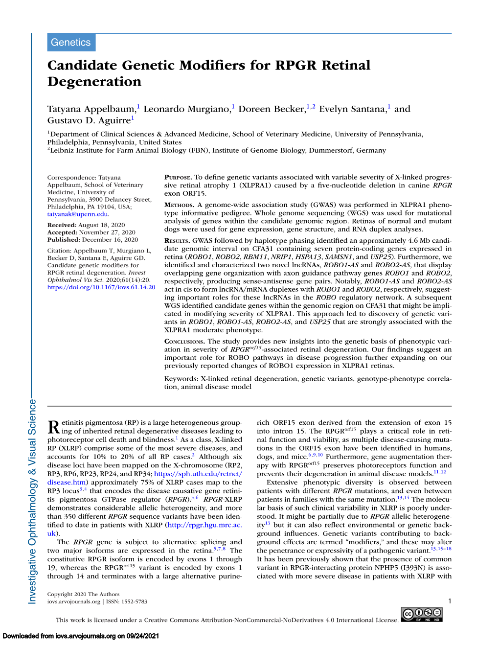 Candidate Genetic Modifiers for RPGR Retinal Degeneration