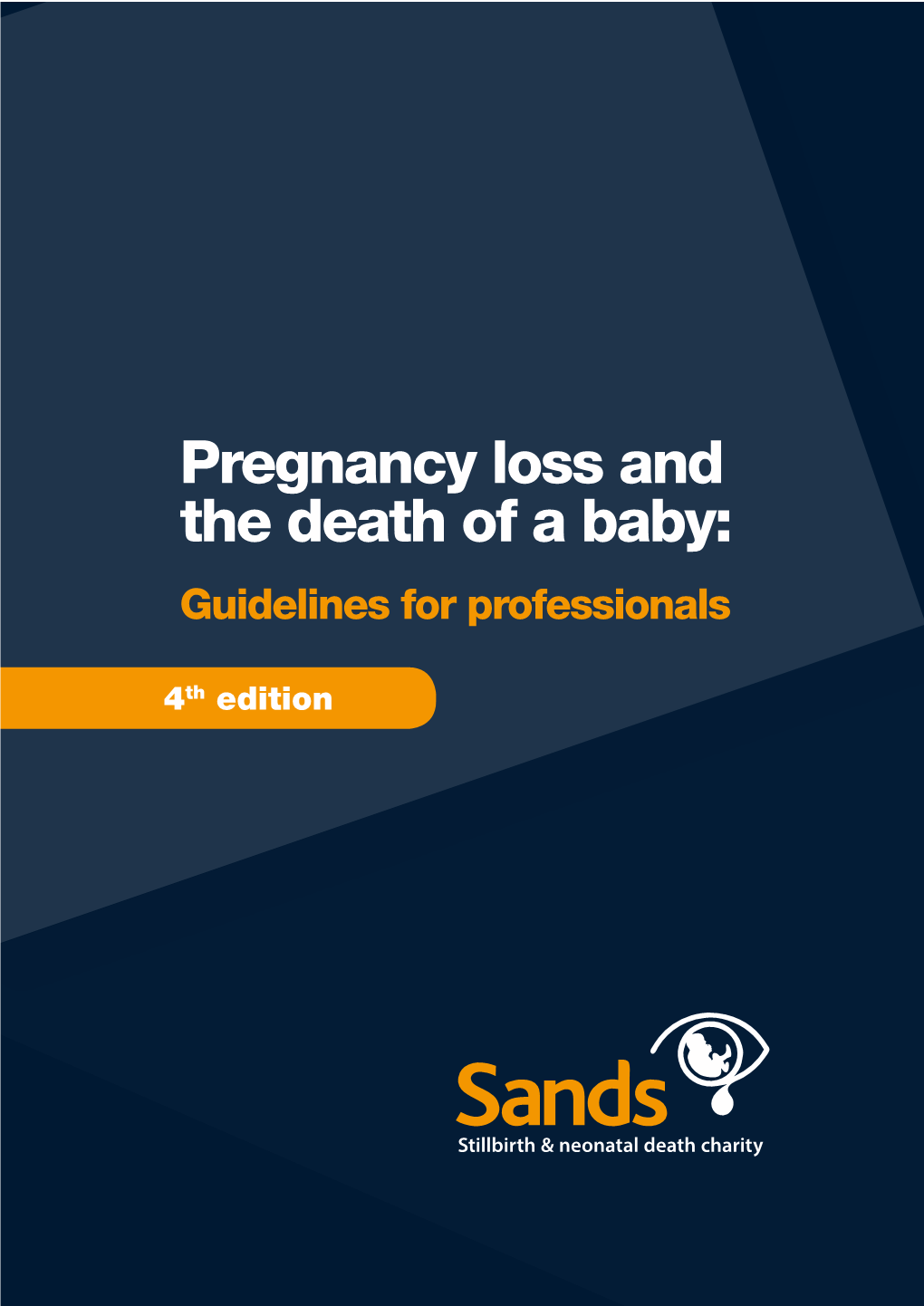 Pregnancy Loss and the Death of a Baby: Guidelines for Professionals