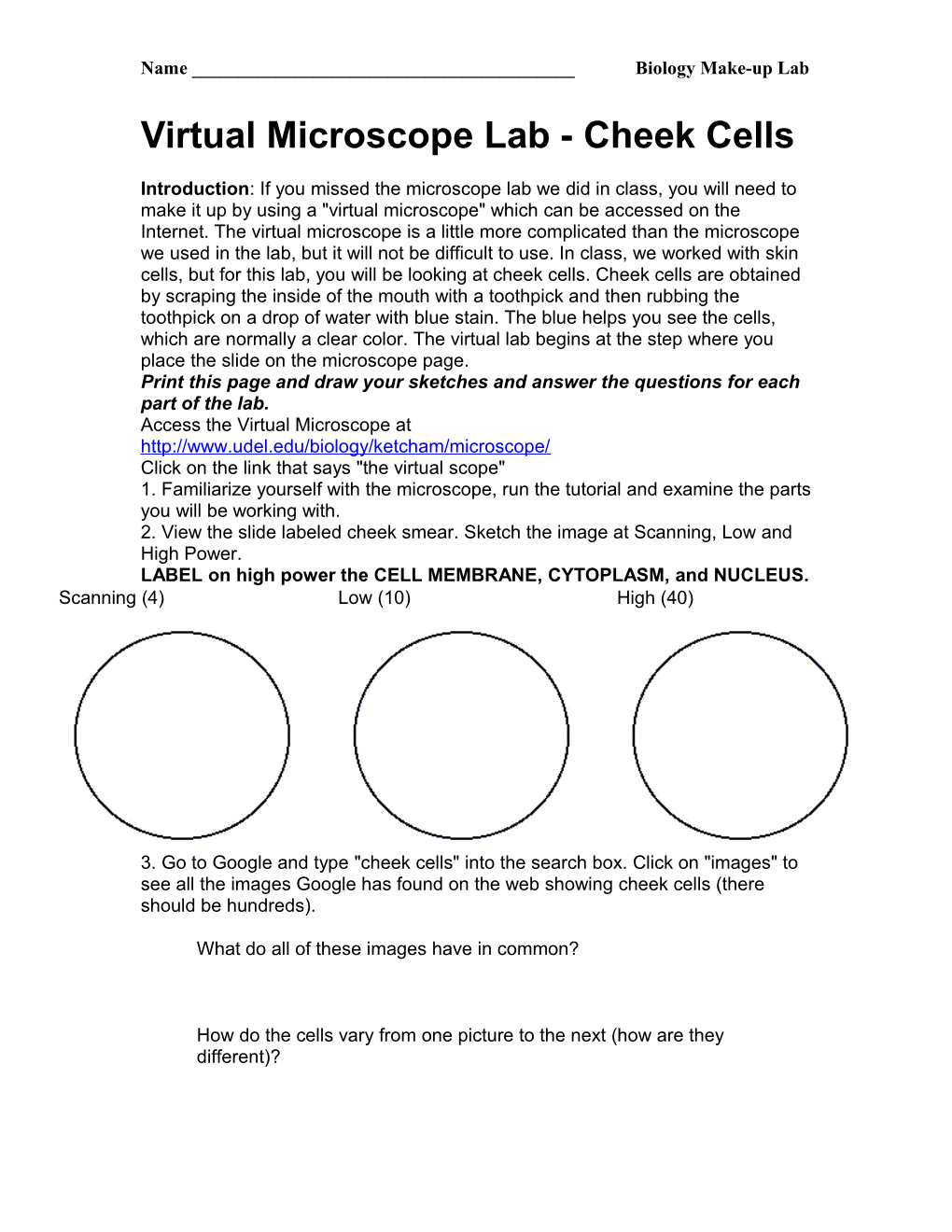 Virtual Microscope Lab - Cheek Cells