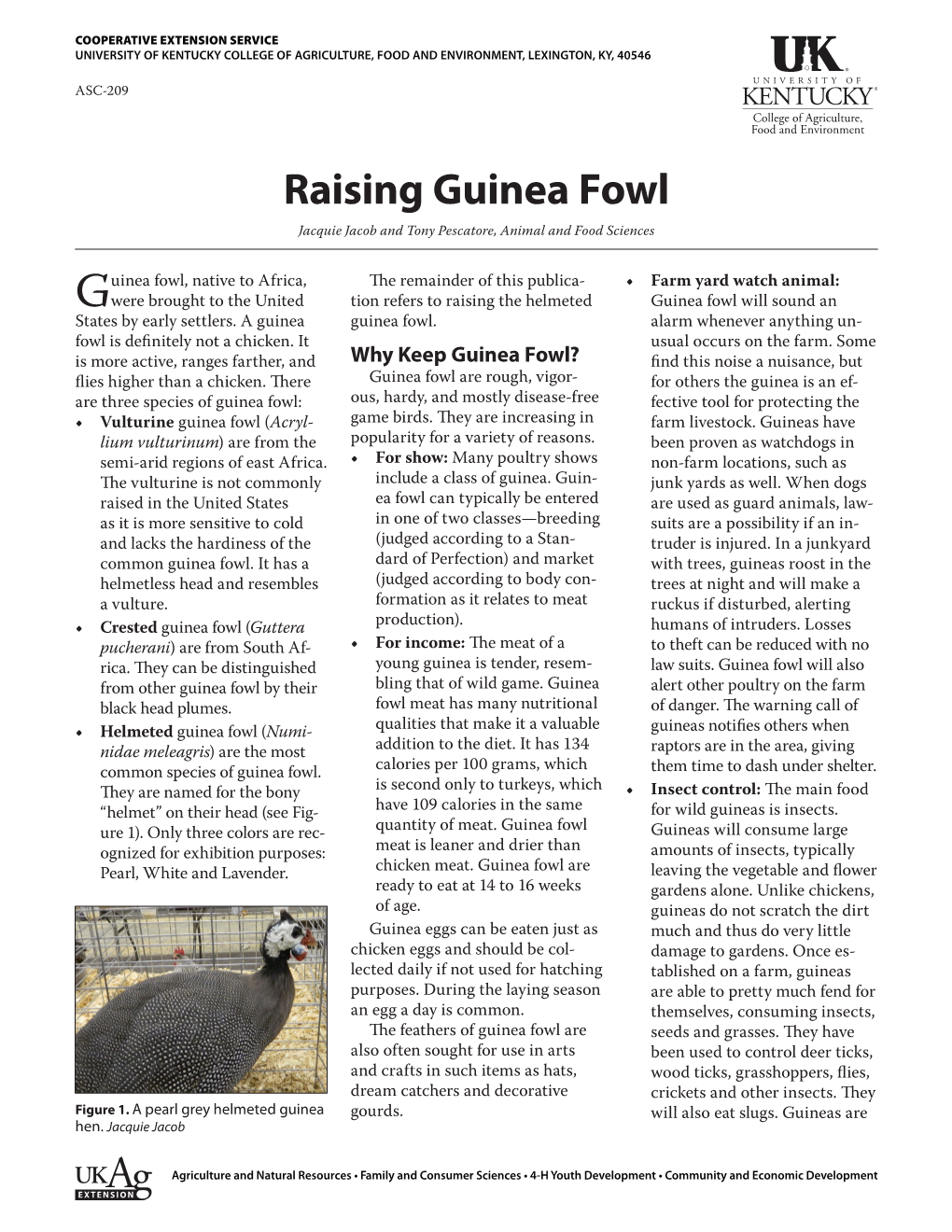 ASC-209: Raising Guinea Fowl