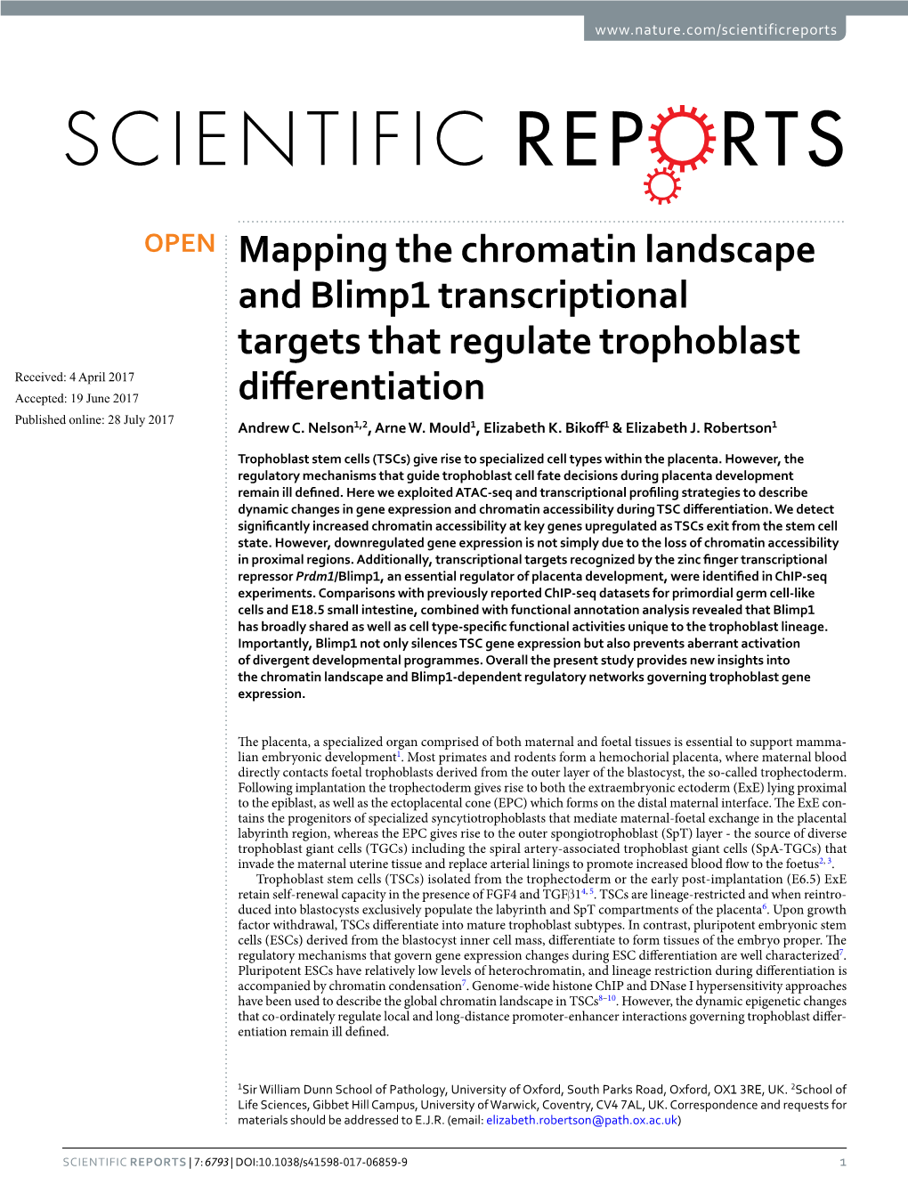 Mapping the Chromatin Landscape and Blimp1 Transcriptional Targets That