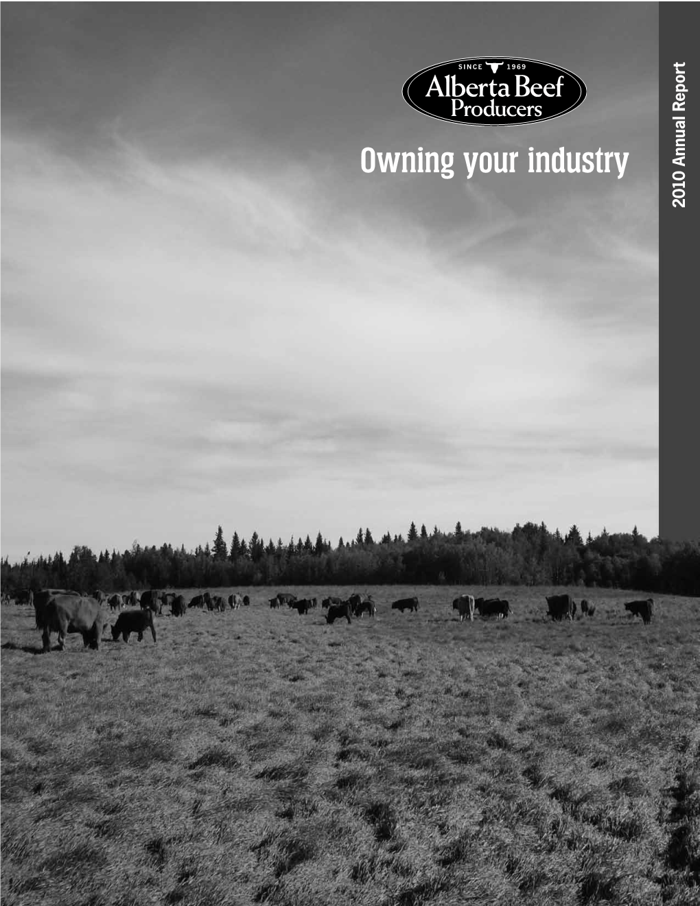 Owning Your Industry 2010 Annual Report 2010 Board of Directors