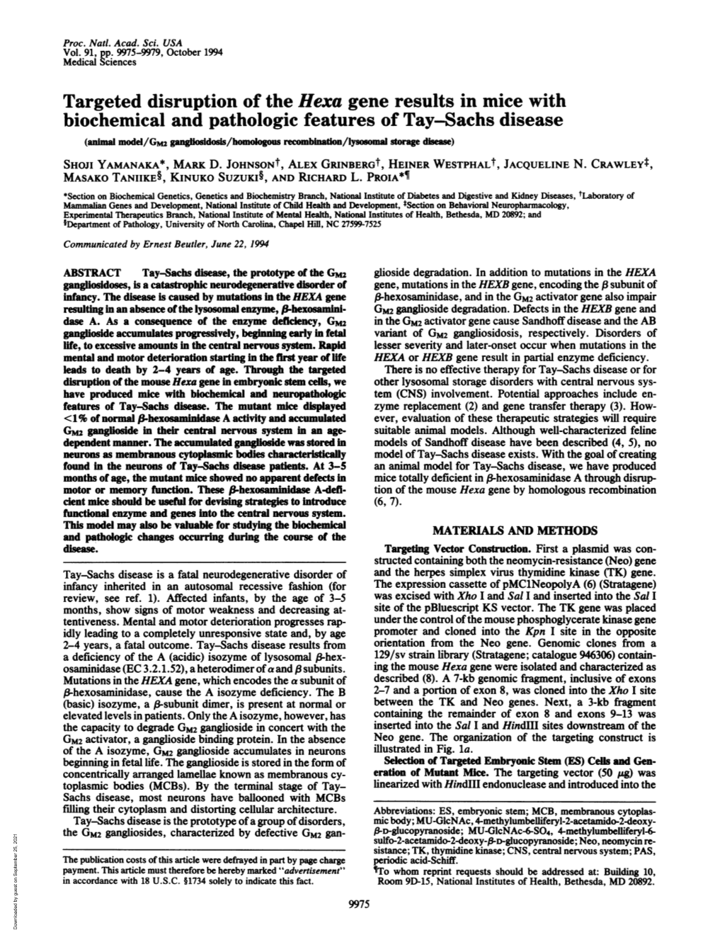 Targeted Disruption of the Hexa Gene Results in Mice with Biochemical