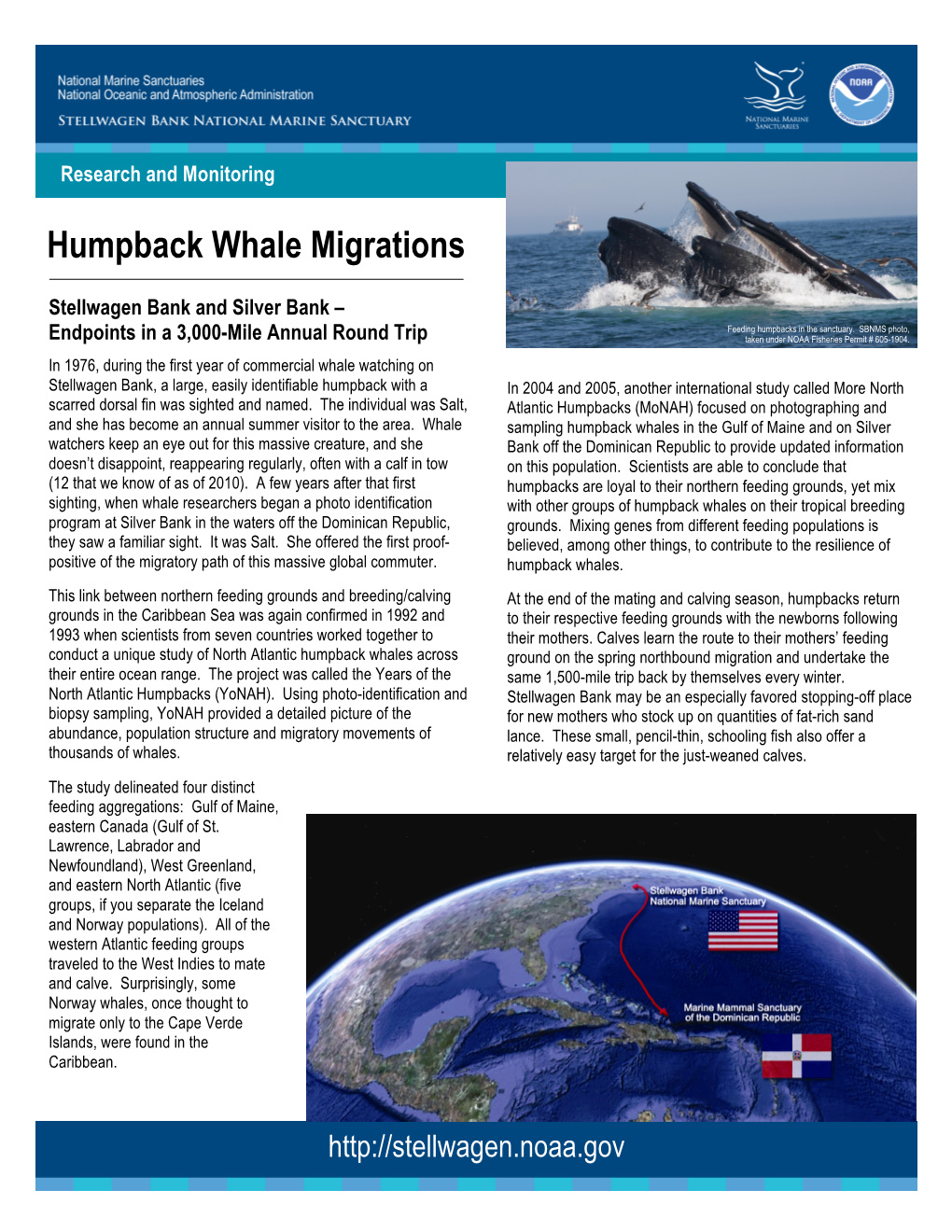 Humpback Whale Migrations