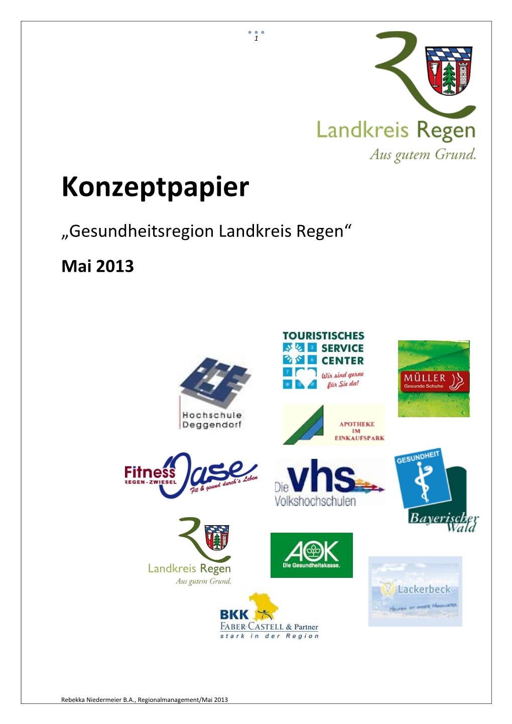 Konzept „Gesundheitsregion Landkreis