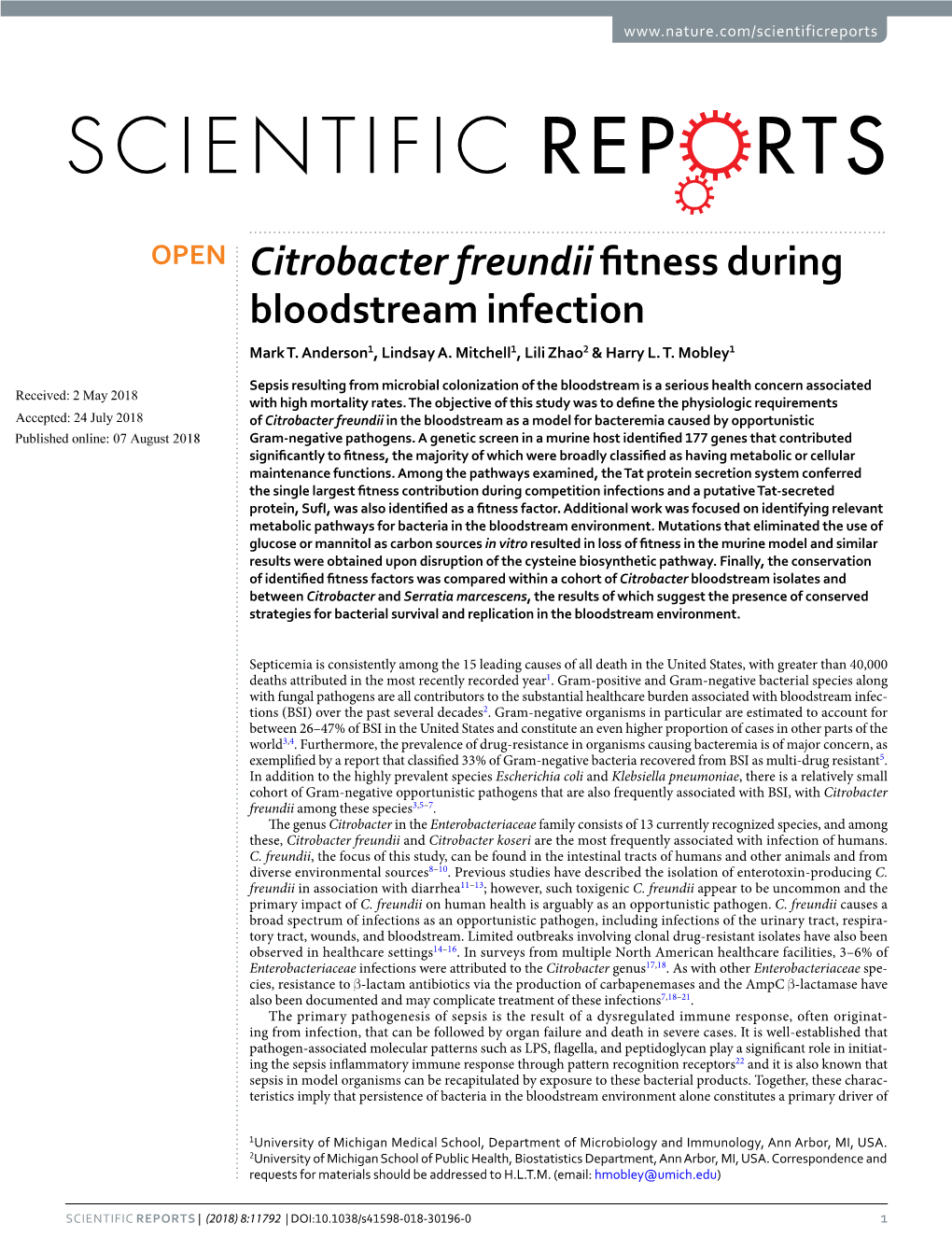 Citrobacter Freundii Fitness During Bloodstream Infection