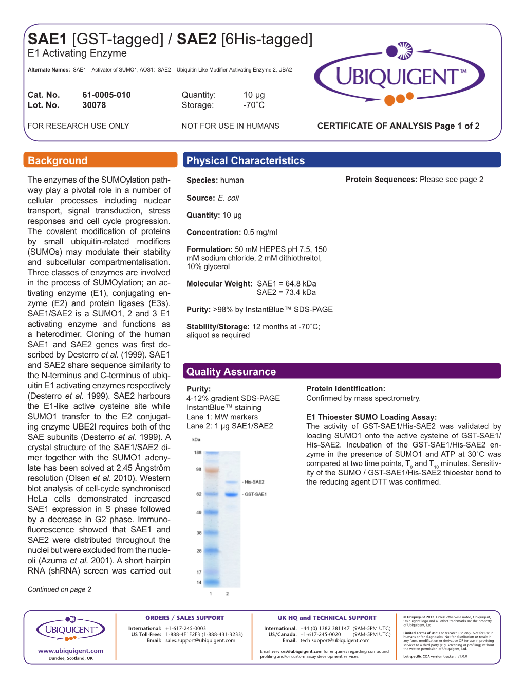 SAE1 [GST-Tagged] / SAE2 [6His-Tagged] E1 Activating Enzyme