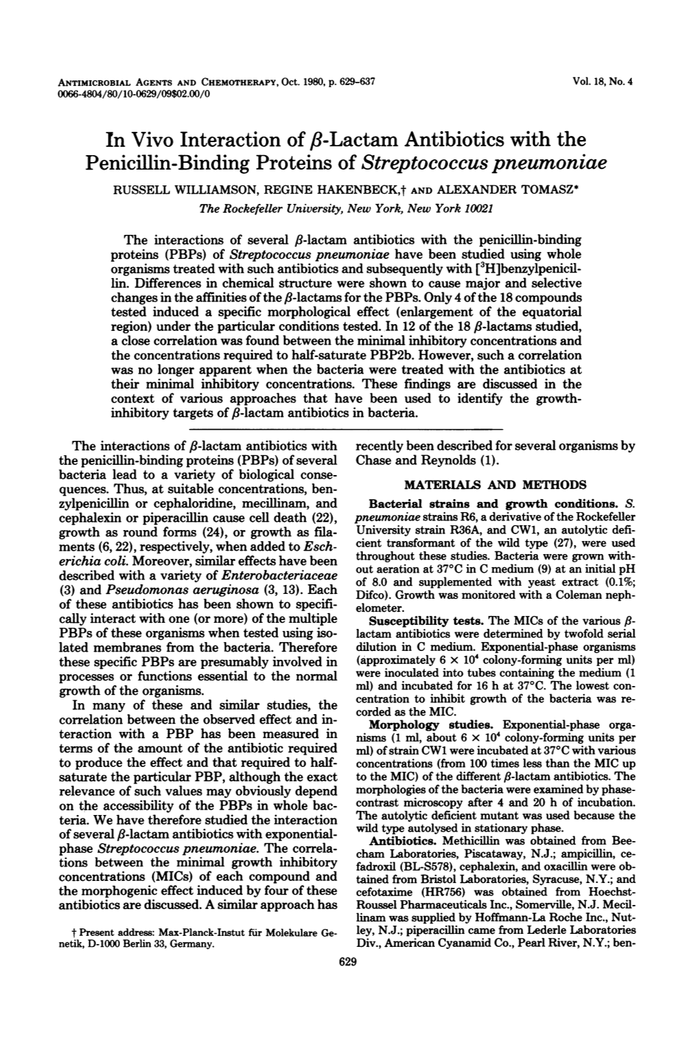 In Vivo Interaction of Fb-Lactam Antibiotics with The