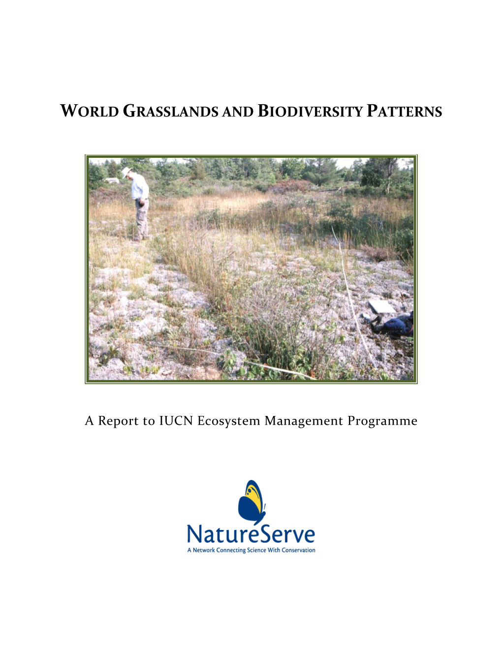 World Grasslands and Biodiversity Patterns