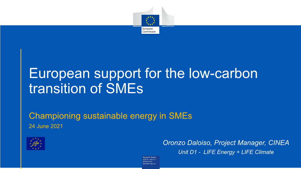European Support for the Low-Carbon Transition of Smes