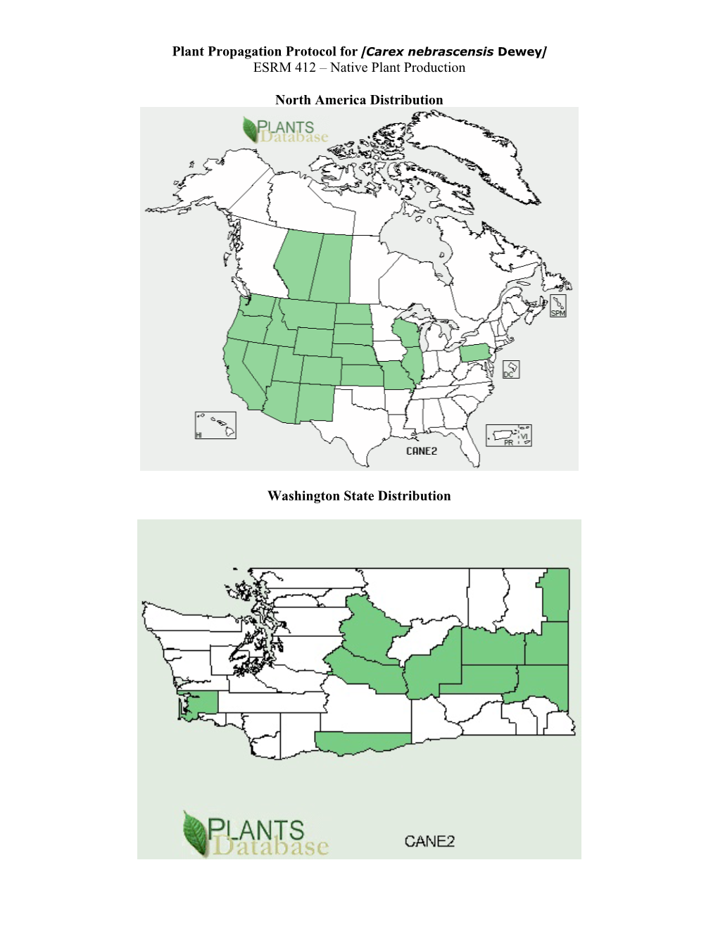 Plant Propagation Protocol for [Carex Nebrascensis Dewey] ESRM 412 – Native Plant Production