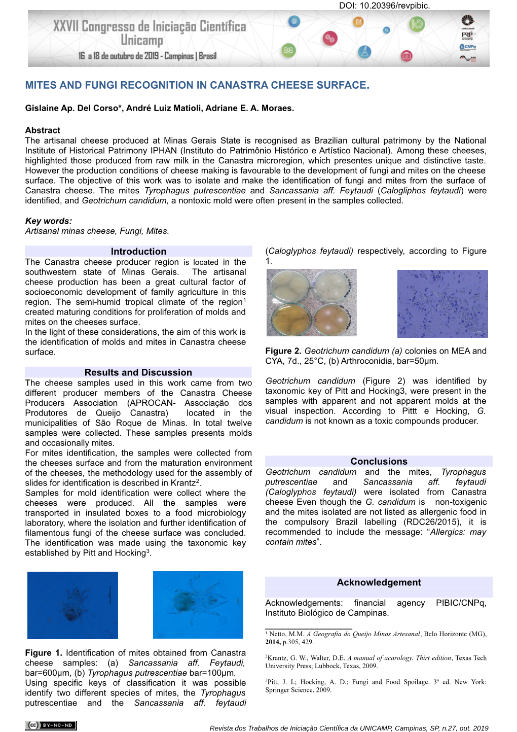 Mites and Fungi Recognition in Canastra Cheese Surface