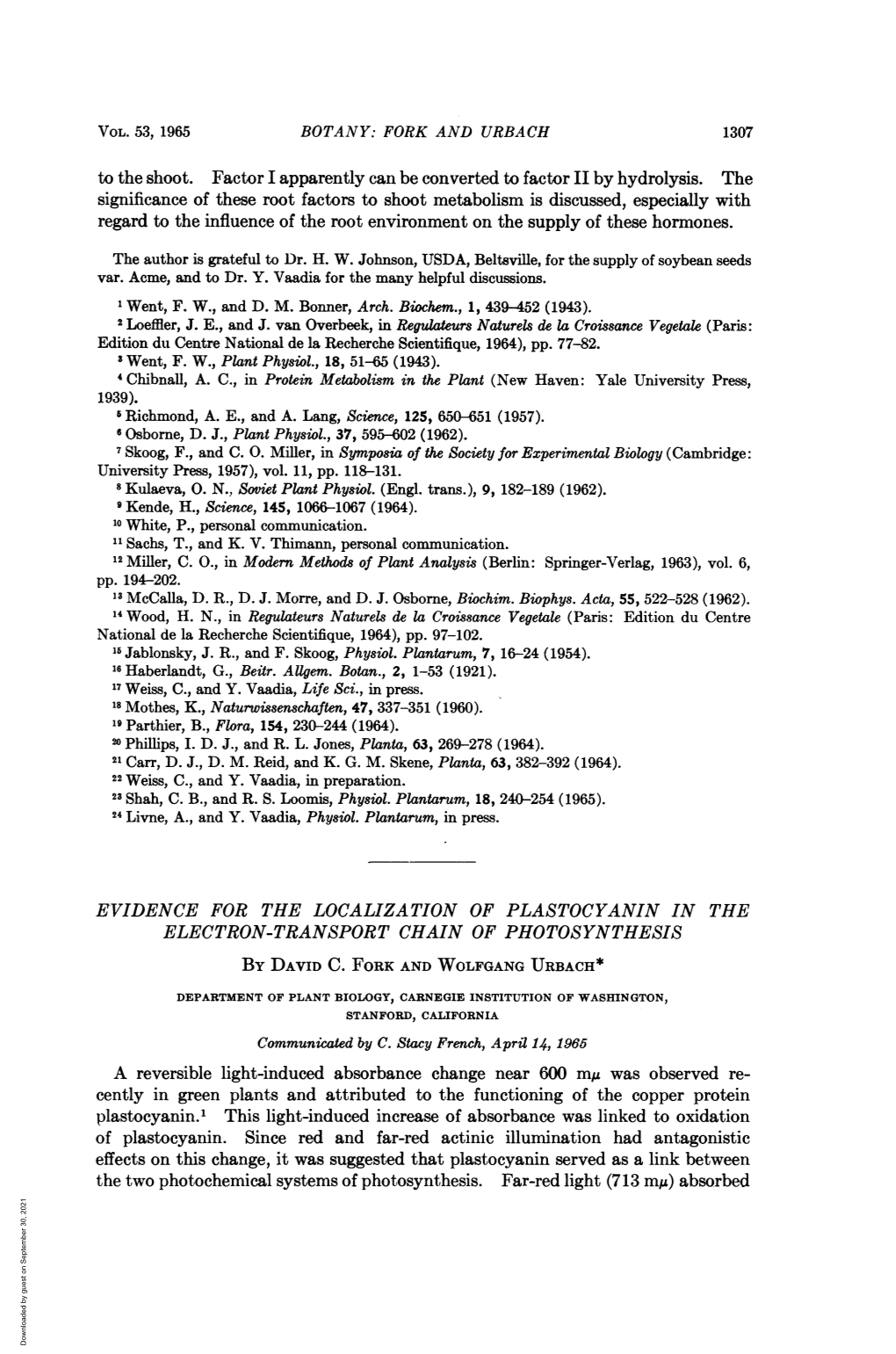 Electron-Transport Chain of Photosynthesis A