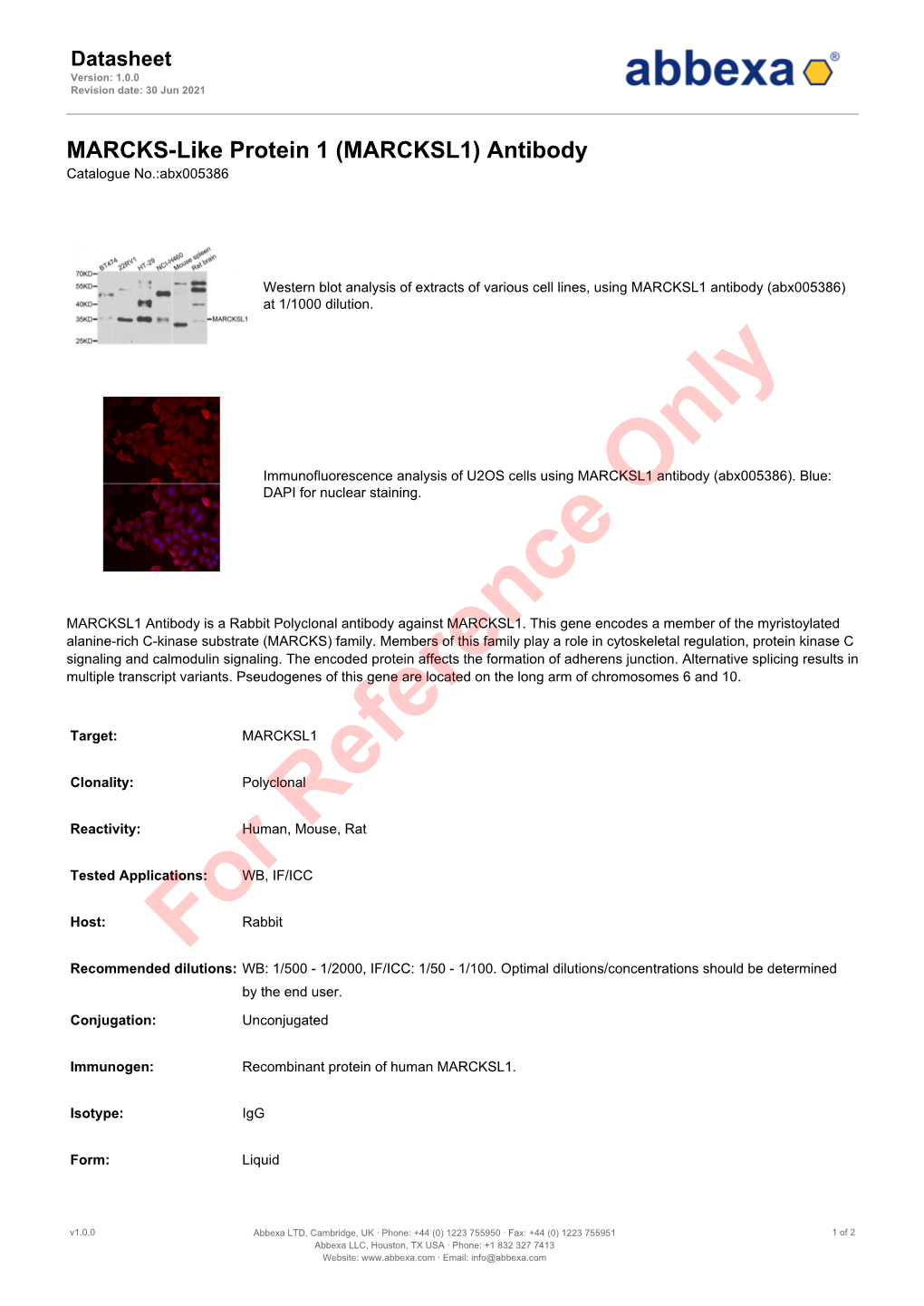 (MARCKSL1) Antibody Catalogue No.:Abx005386