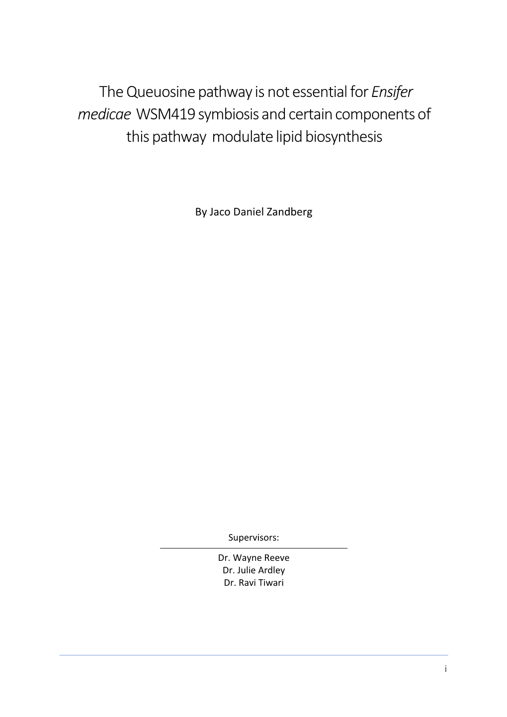 The Queuosine Pathway Is Not Essential for Ensifer Medicae WSM419 Symbiosis and Certain Components of This Pathway Modulate Lipid Biosynthesis