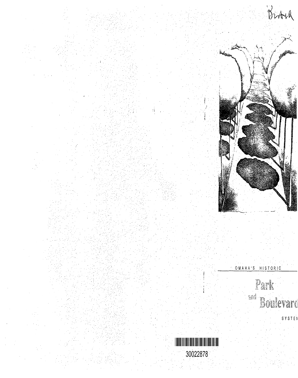Omaha's Park and Boulevard System Sur­ and O.C