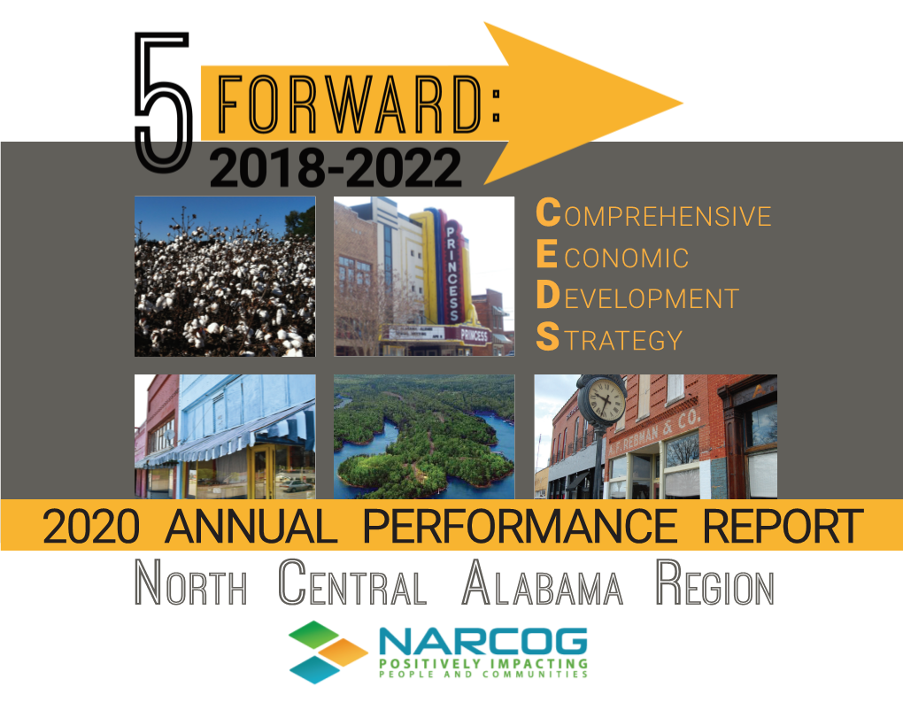CEDS 2020 Annual Performance Report