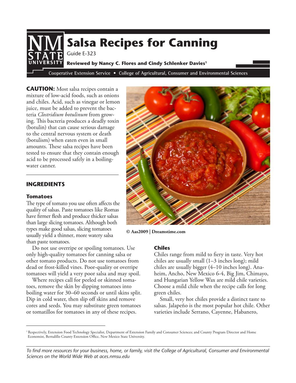 Salsa Recipes for Canning Guide E-323