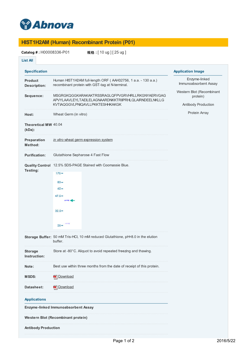 HIST1H2AM (Human) Recombinant Protein (P01)