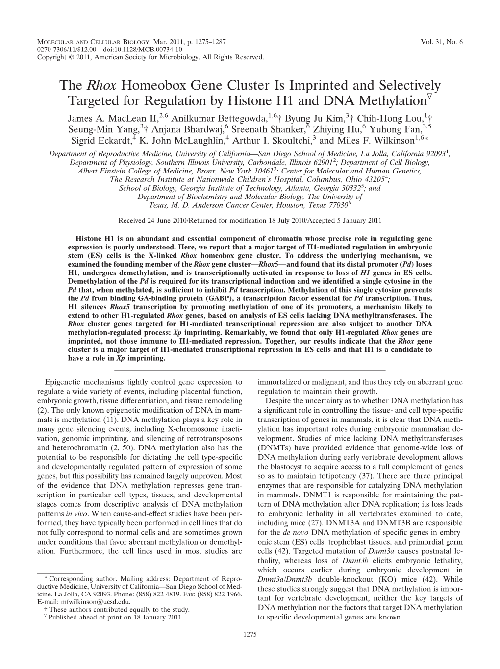 The Rhox Homeobox Gene Cluster Is Imprinted and Selectively Targeted for Regulation by Histone H1 and DNA Methylationᰔ James A