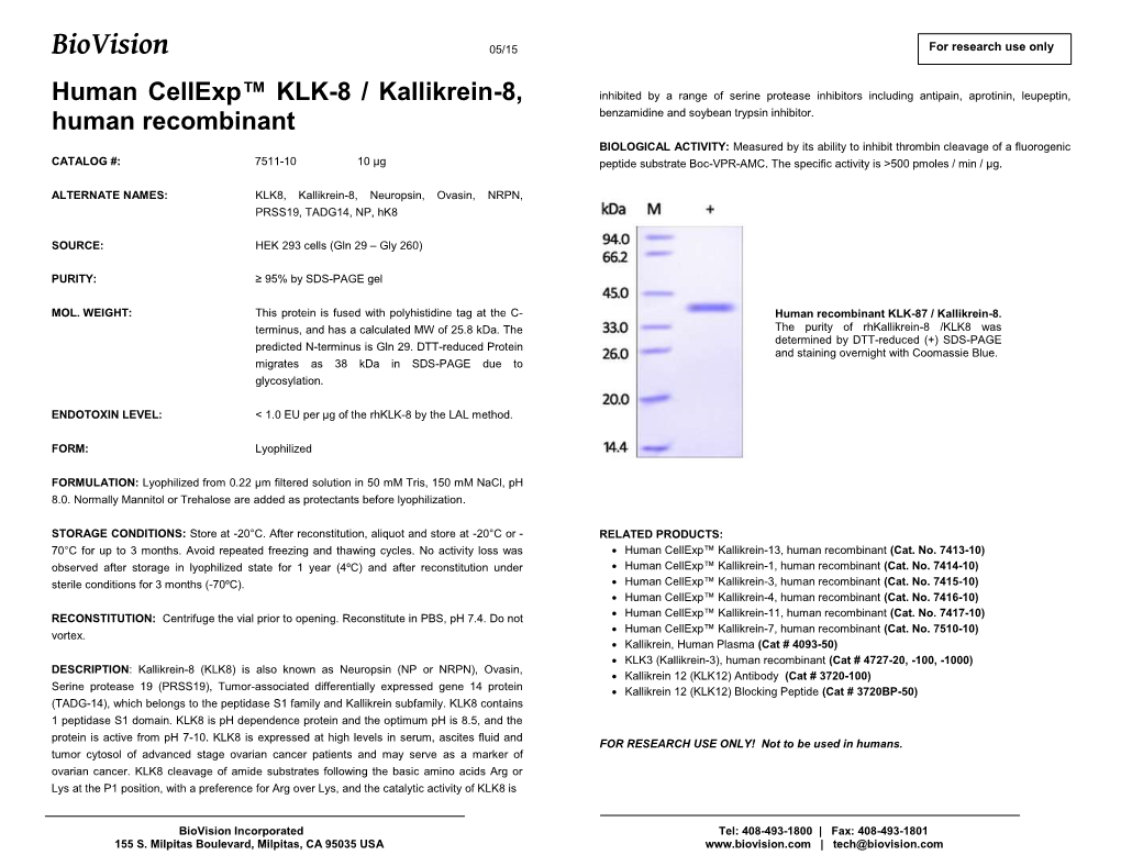 7511-10 Human Cellexp™ KLK-8 / Kallikrein-8, Human Recombinant