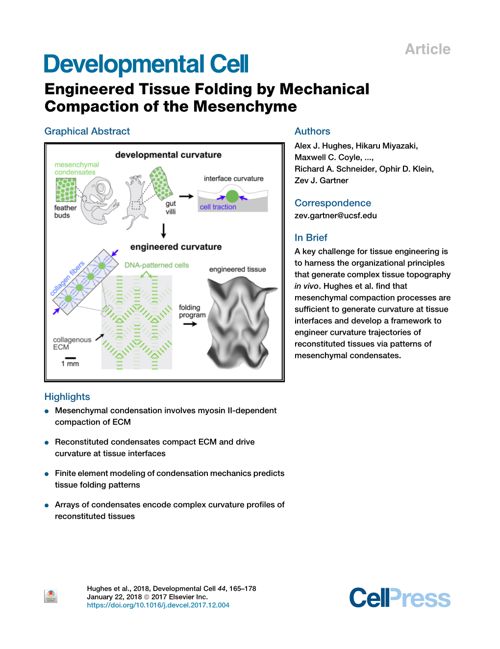 Engineered Tissue Folding by Mechanical Compaction of the Mesenchyme