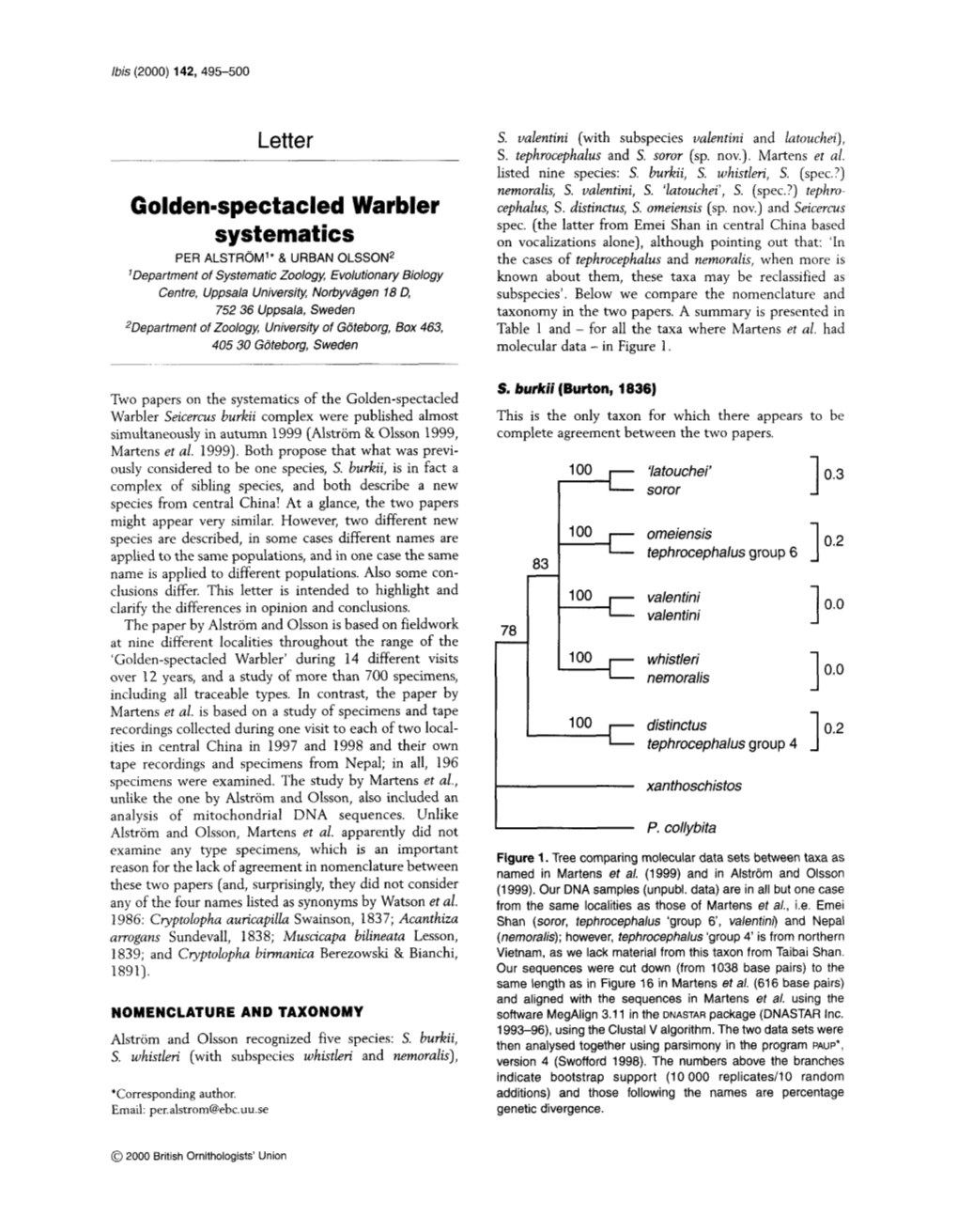 Golden-Spectacled Warbler Systematics