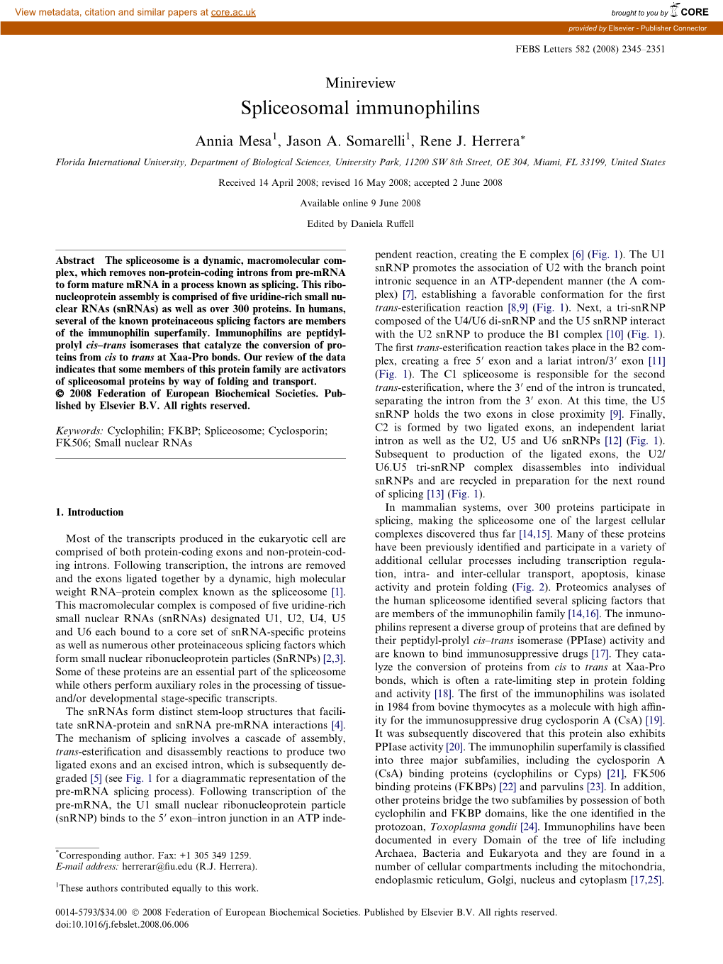 Spliceosomal Immunophilins