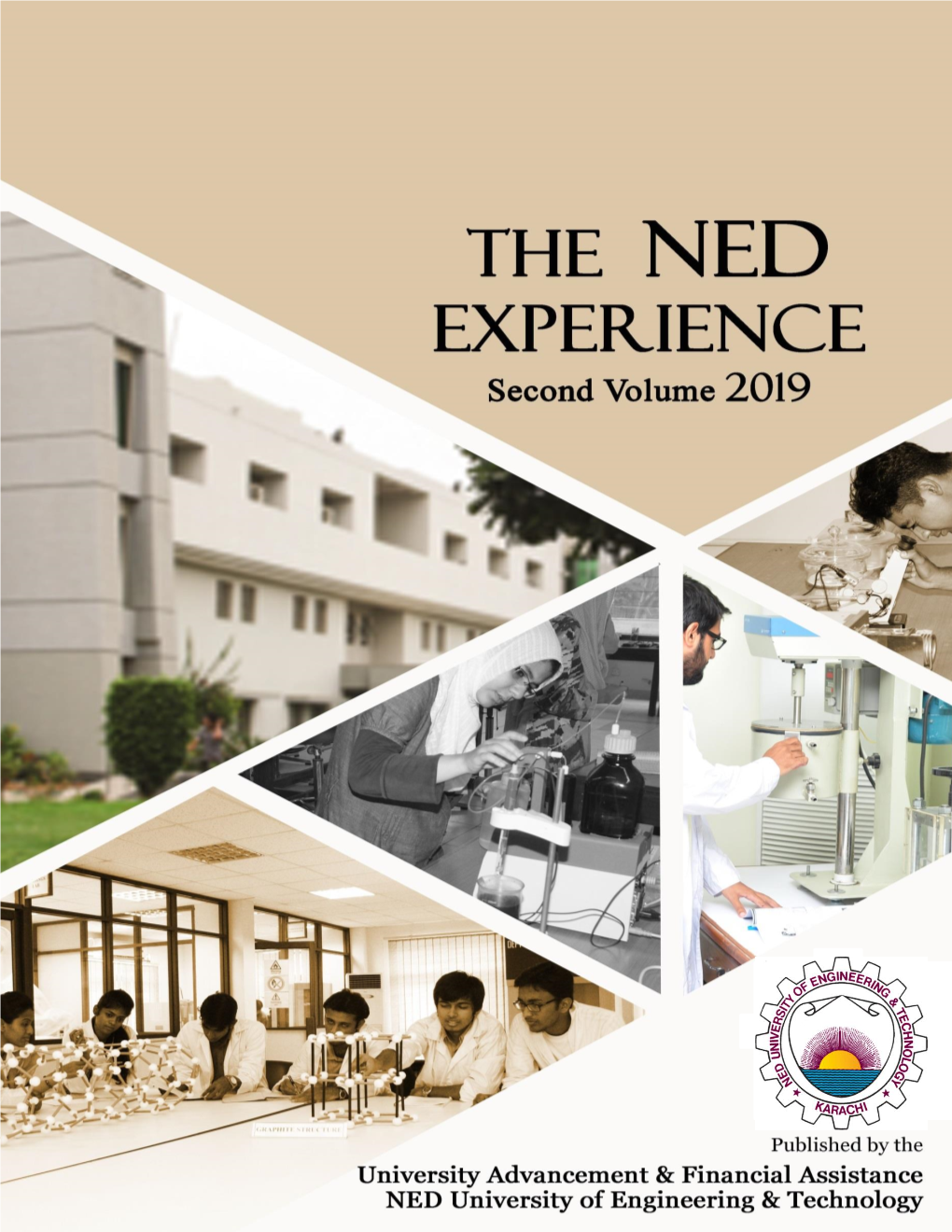THE NED EXPERIENCE 2019 3 | P a G E