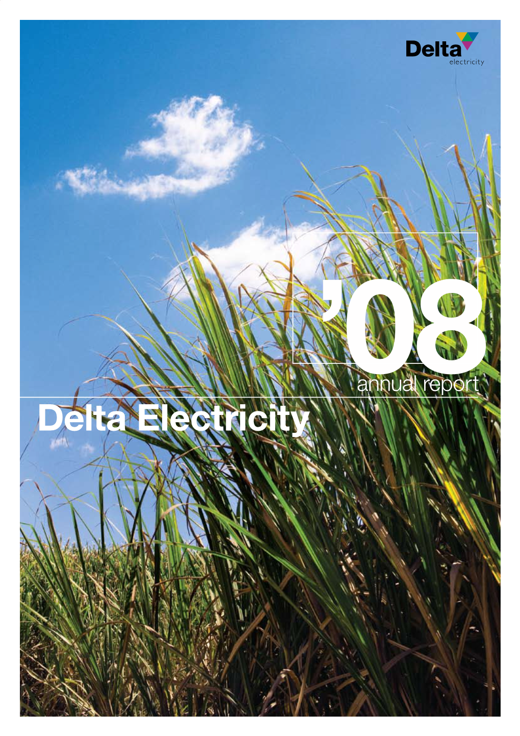 Delta Electricity