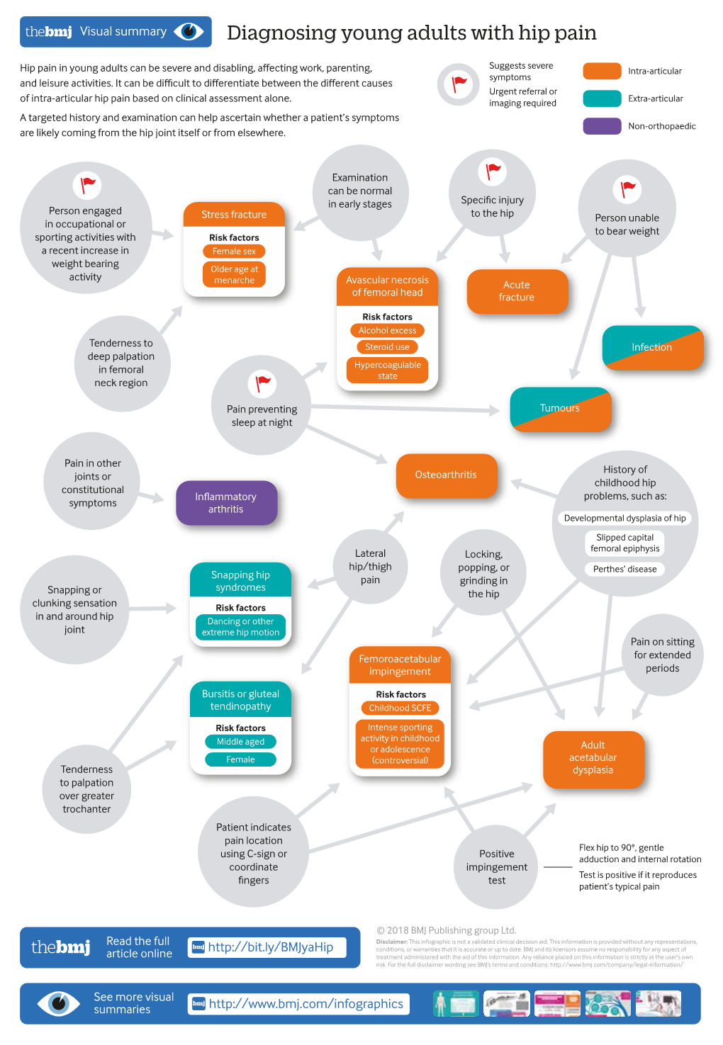 Diagnosing Young Adults with Hip Pain an Approach