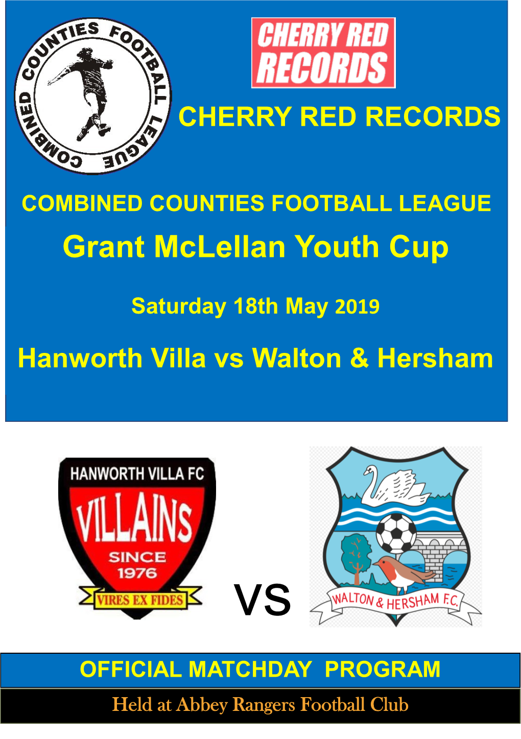 Hanworth Villa Vs Walton & Hersham