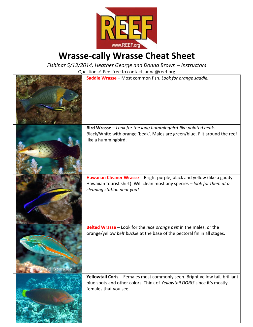 Wrasse-Cally Wrasse Cheat Sheet