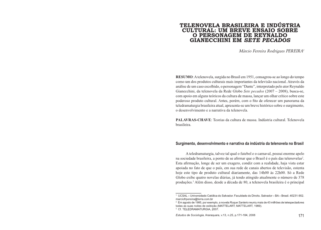 Telenovela Brasileira E Indústria Cultural: Um Breve Ensaio Sobre O Personagem De Reynaldo Gianecchini Em Sete Pecados