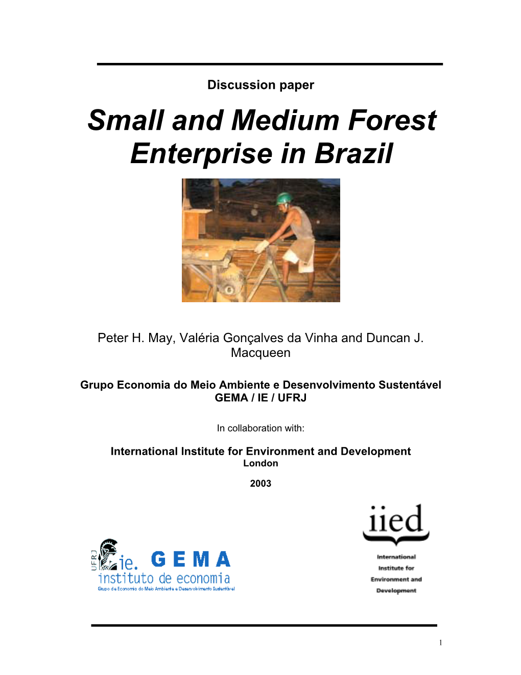 Small and Medium Forest Enterprise in Brazil